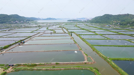 航拍視角下的淡水養殖全景 從大閘蟹到鱘魚，探秘千湖之色的生態漁業基地