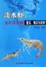 淡水蝦無(wú)公害養(yǎng)殖重點(diǎn)難點(diǎn)與實(shí)例